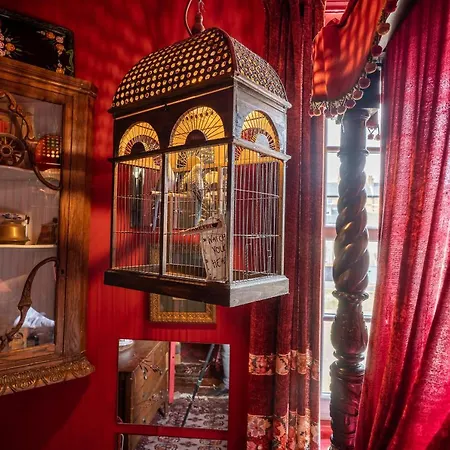 La Rosa 3* 惠特比